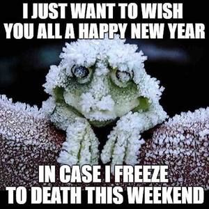 Meet your Posher, Ruthann